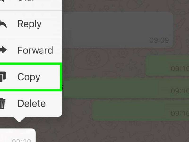 WhatsApp拒绝非好友信息：在WhatsApp上设置拒绝非好友发送的信息